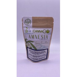 Amnésia - CannaGo