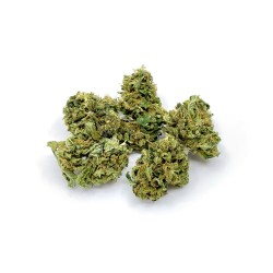 Jack Herer - "Billy The Weed" - Wild Wild Weed